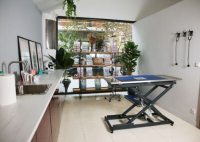 Ο χώρος εξέτασης του κτηνιατρείου Vet Corner