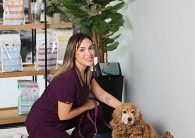 Εξετάση σκύλου στο κτηνιατρείο Vet Corner